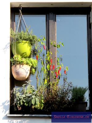 Gemüsefenster