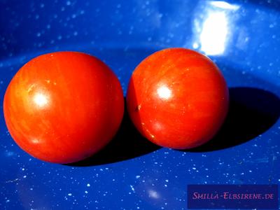Tomate Tigerella
