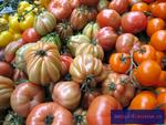 Verschiedene Tomatensorten