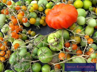 Tomatensorten